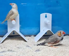 animales de compañía